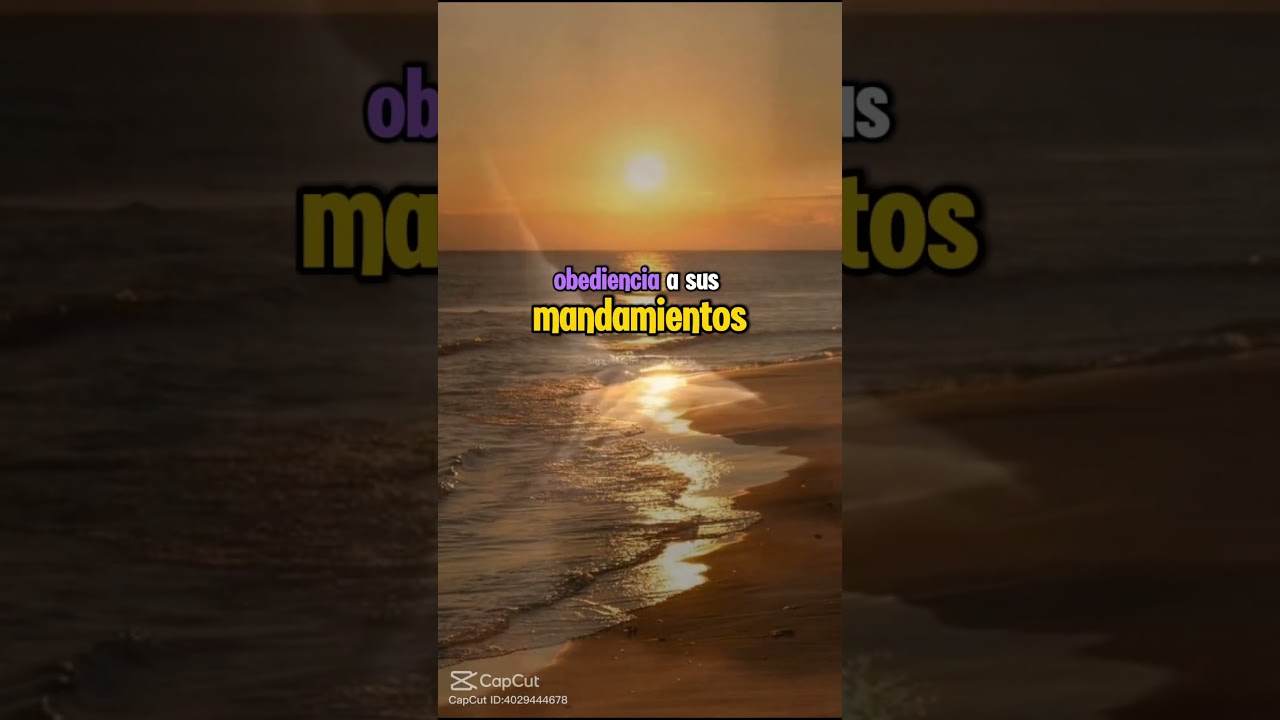 El primer mandamiento es amar a Dios por sobre todas las cosas #oracion #mandamiento #Dios #reflexio