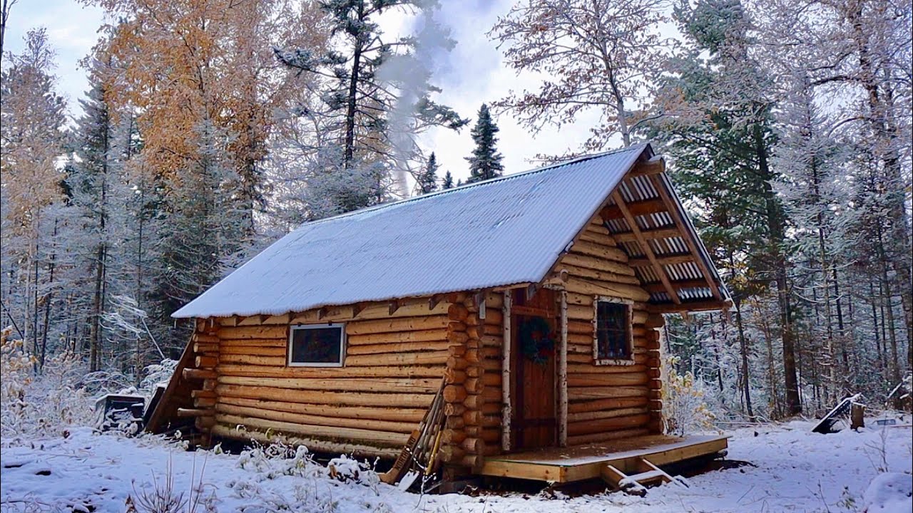 A Beautiful First Snowfall At The Log Cabin In The Woods: Moose By The Cabin