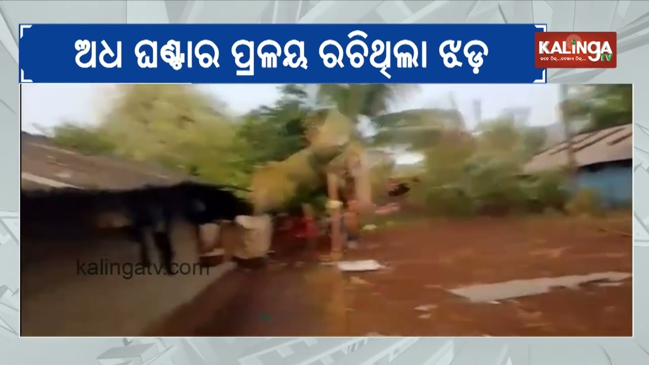 Heavy rain and strong winds lash Malkangiri under Kalabaisakhi effect, trees and houses damaged