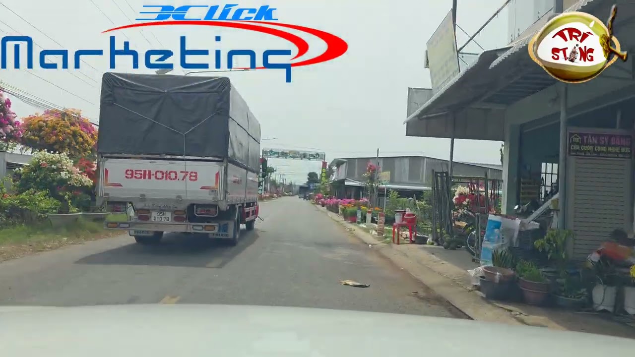 LÀNG HOA GIẤY PHÚ SƠN CHỢ LÁCH BẾN TRE TẾT BÍNH NGỌ 2026 BÔNG GIẤY, BÔNG HOA VẠN THỌ, CÚC MÂM XÔI.