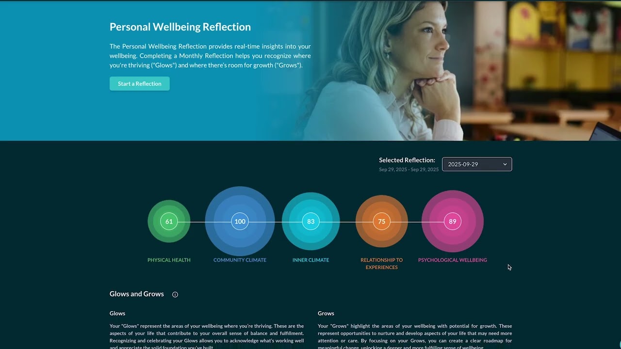 The Four Pillars of Wellbeing Platform Overview