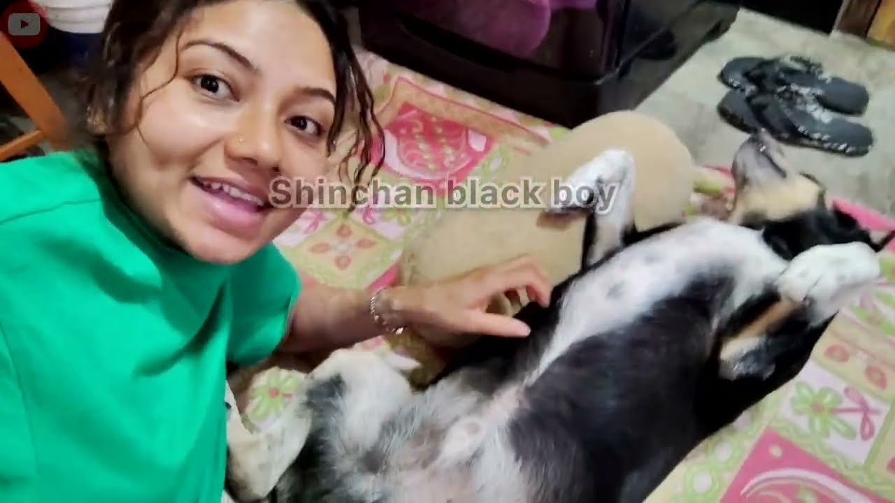 Me and My Dog Shinchan Having Fun 🐶 | His Angry but Funny Moments 😄
