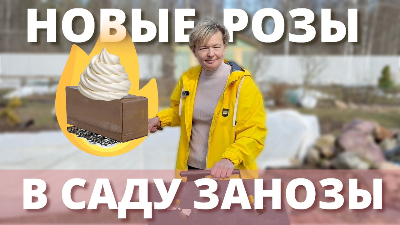 РАСПАКОВКА РОЗ ИЗ ПИТОМНИКА ПРИМА РОЗА