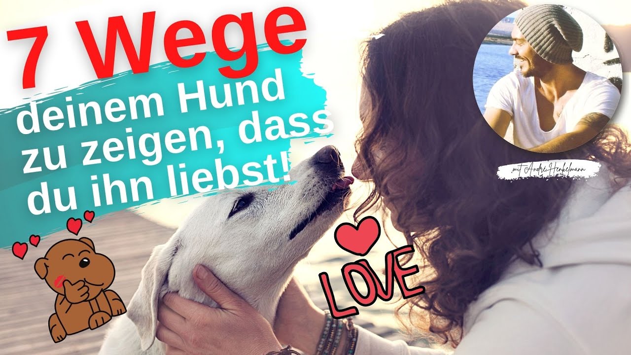 So sagst du auf hündisch 
