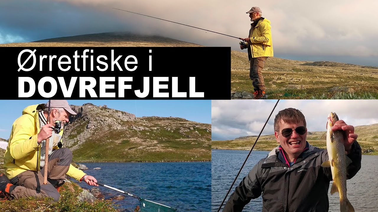 Fisketur etter ørret i Dovrefjell-Sunndalsfjella nasjonalpark