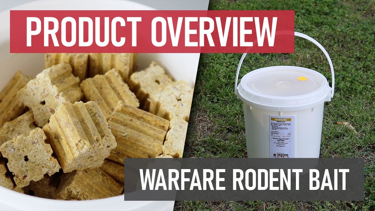 How to Use Warfare Rodent Bait [DIY Rodent Control]