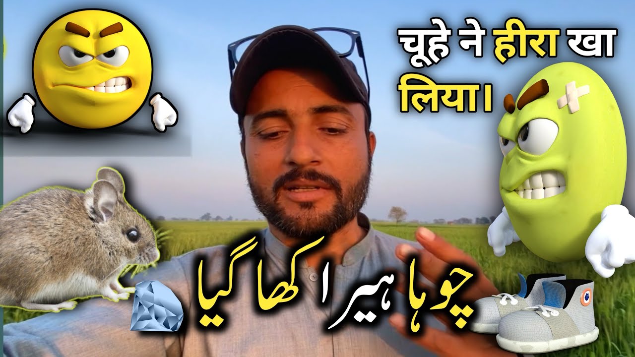 Chohe Ne 🐭 heera kha Liya 😱 | Choha hoa Rato Raat Ameer💸 | Funny videos | ATP