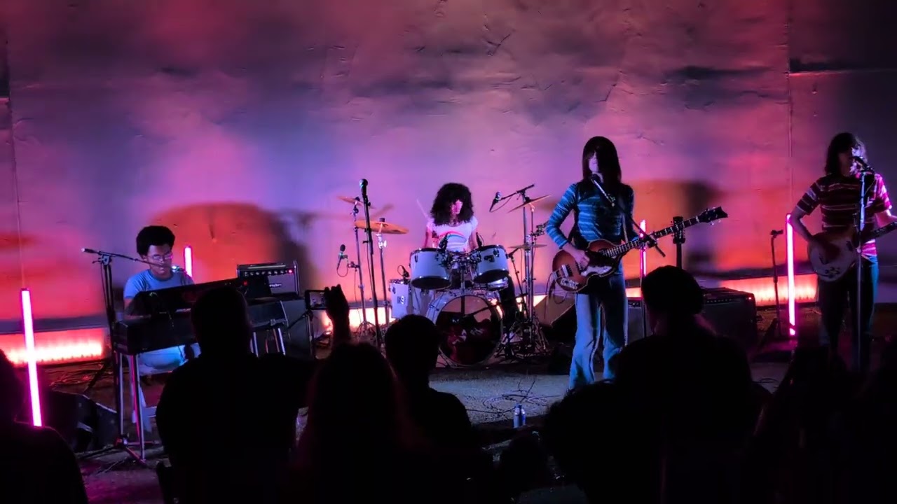 The Lemon Twigs at the Baronet, Asbury Park #2