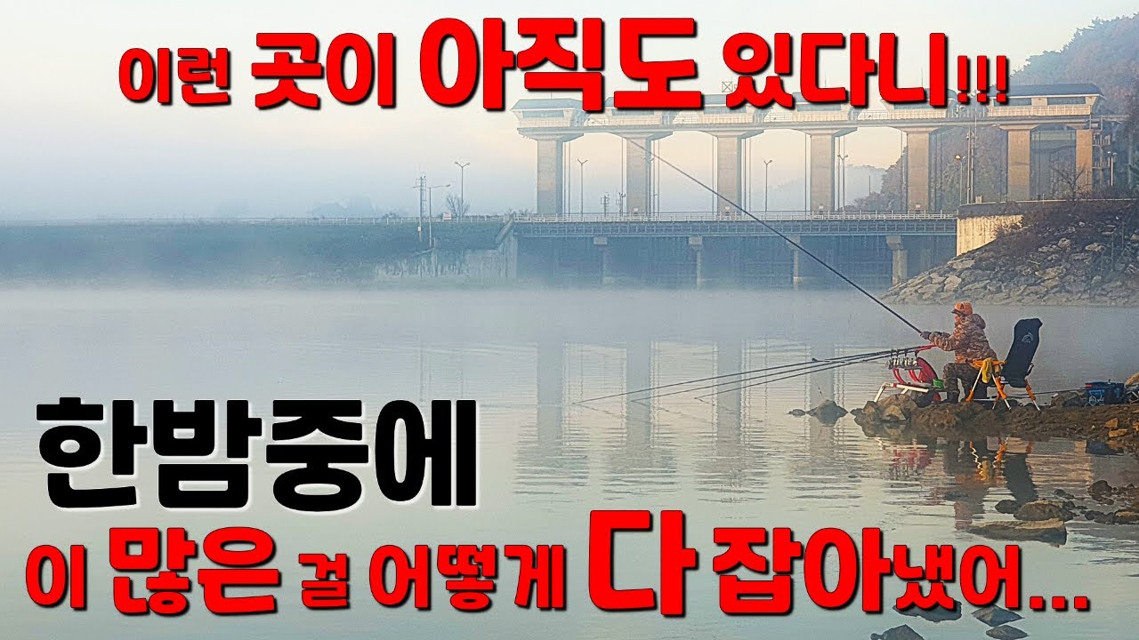 아직도 이런 곳이  있다니!!!  한밤중에 이 많은 걸 어떻게 다 잡아냈어...