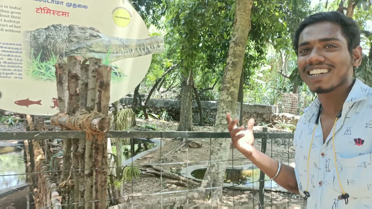 Crocodile 🐊 Park Vadanemmeli Chennai ECR🏞️