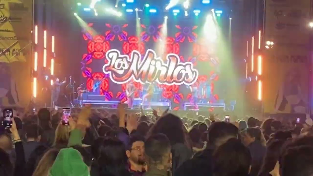 ‪@losmirlos‬