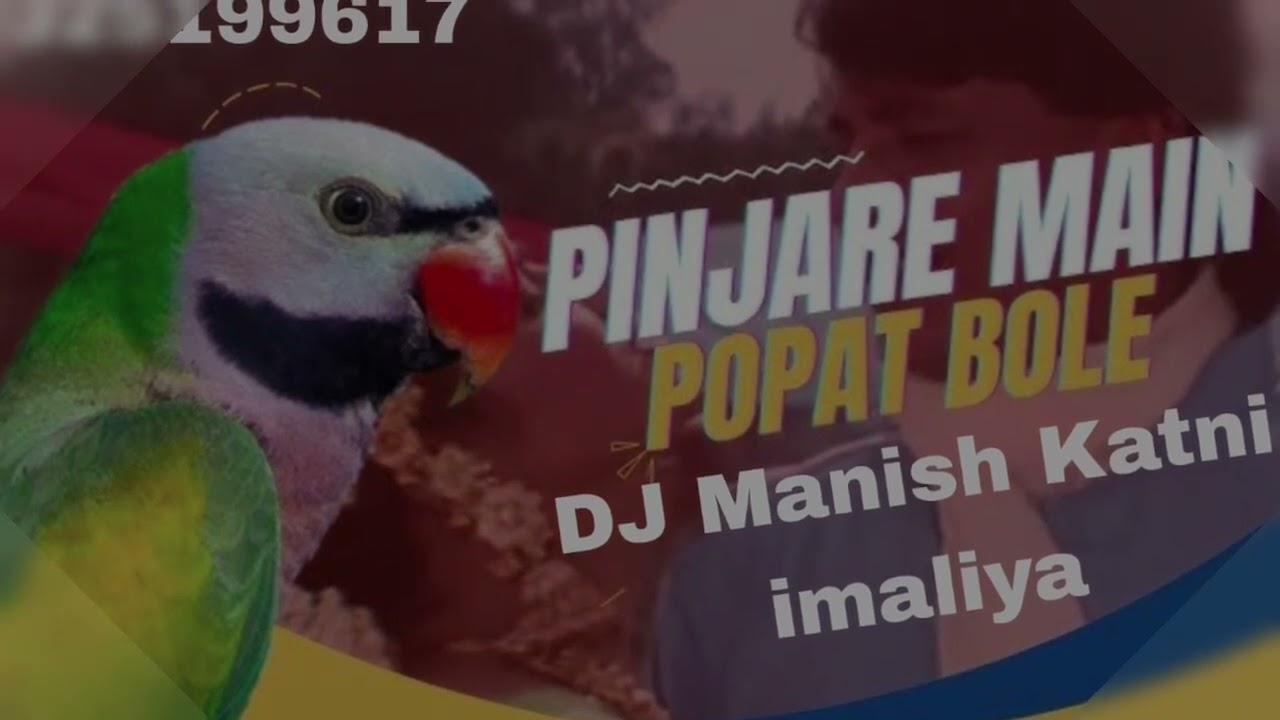 PINJARE MAIN POPAT BOLE (DHOL MIX) DJ MANISH KATNI IMALIYA