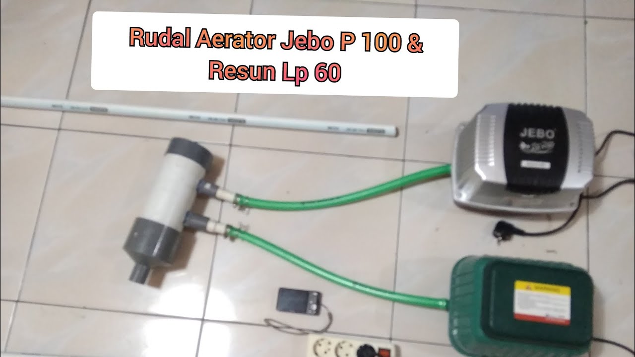 Review Aerator Jebo p 100 dan Resun Lp 60 jadi satu Rudal Aerator Gimana Hasilnya?
