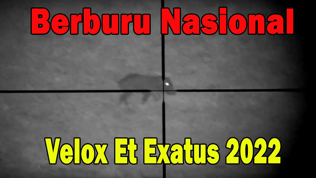 SAFARI BURU VELOX ET EXATUS 2022 MASUK 10 BESAR #perbakin #babihutan #berburu