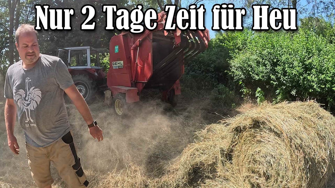 Nur 2 Tage Zeit für´s Heu machen 😳⛈️