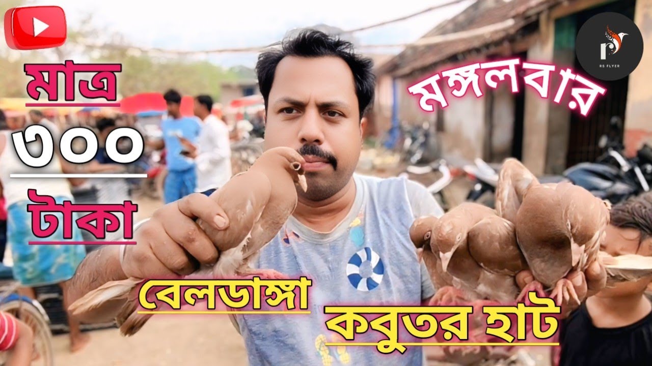 বেলডাঙার বিখ্যাত কবুতর হাট The famous pigeon market in Beldanga