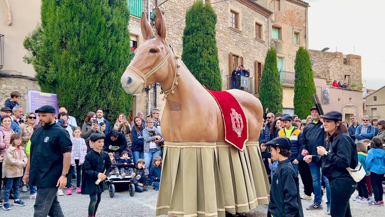 Plantada i Cercavila Presentació de la MULASSA de Verdú (Fira Verdú 2025)