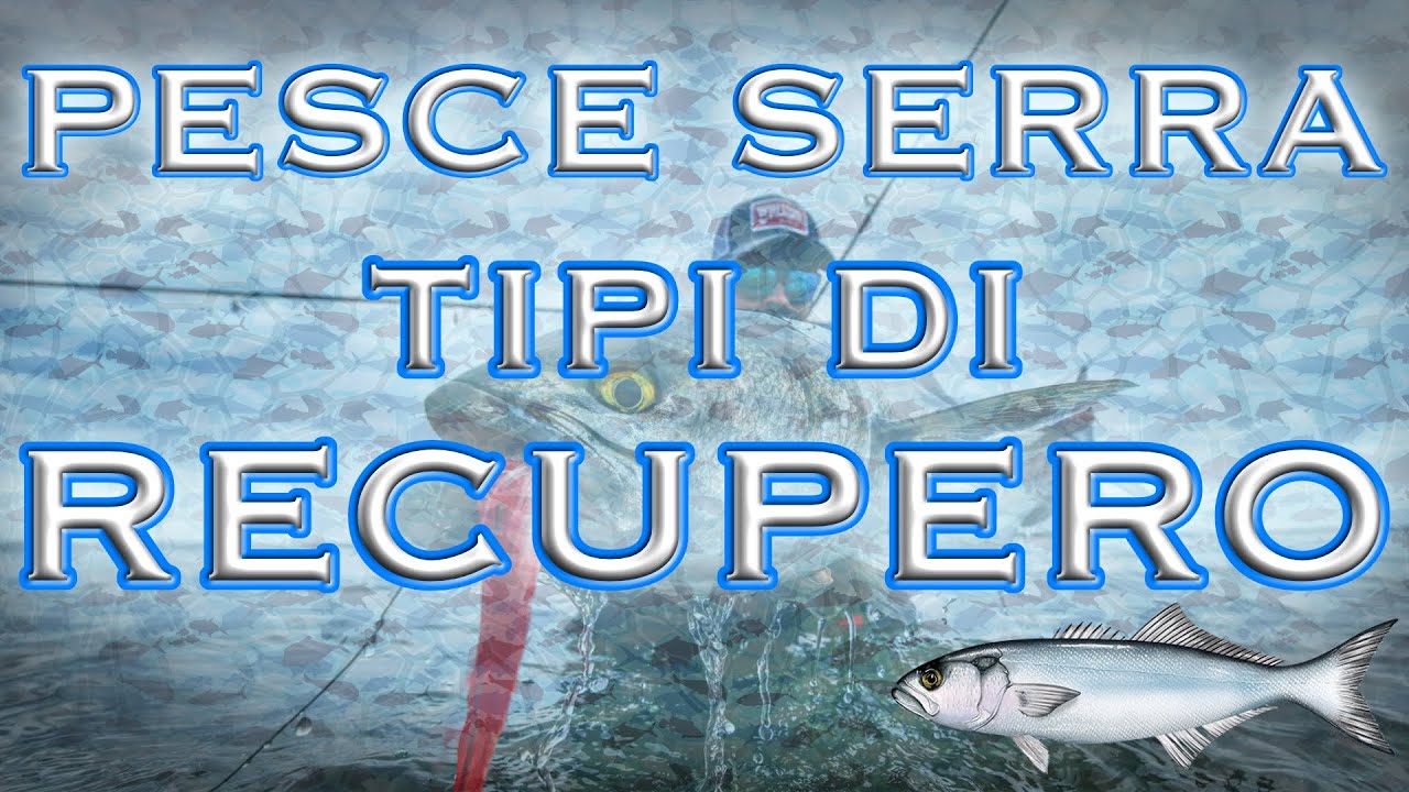 SPINNING AL SERRA - Tipi di RECUPERO degli ARTIFICIALI - parte 3