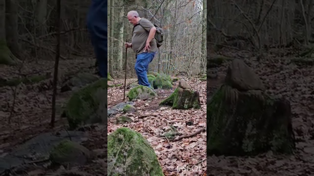 Geheimnisvoller Ort im Sachsenwald