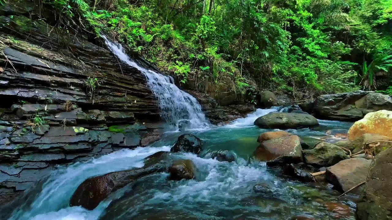 Waterfall Sounds for Sleeping, River Sounds for relaxation, Water Sounds for stress relief #1