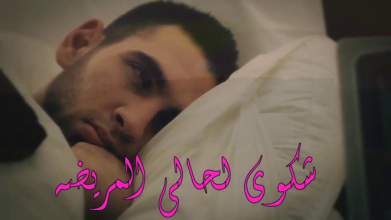 شيلة  بالله ياهل العيادة ابي وريقه شهادة ابعرضه للحبيب  🎶 داء : الشقردي