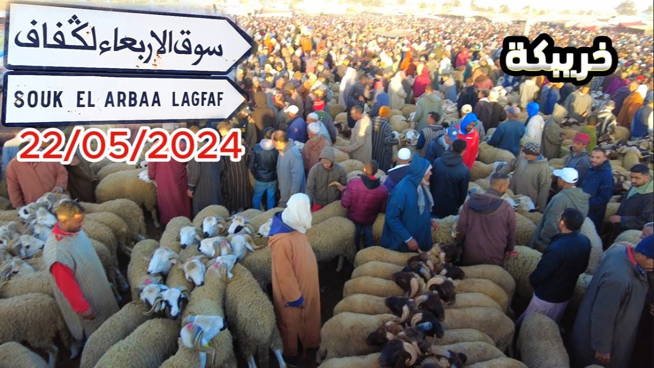 من أكبر  #سوق الكفاف إقليم خريبكة الخير موجود 22/05/2024#حولي_صردي #عيد_الأضحى #عاجل #المواشي