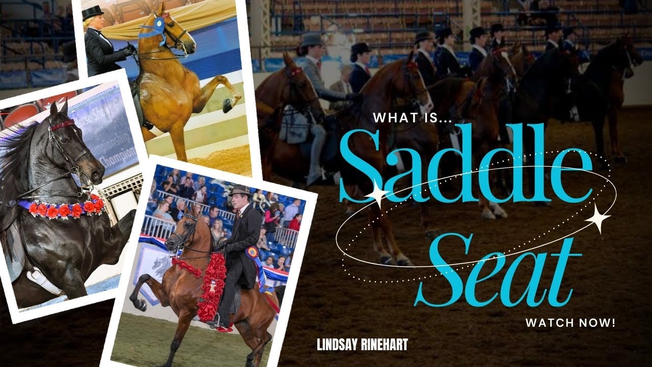 What is Saddle Seat?