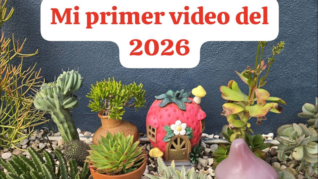 Mi primer video del 2026 