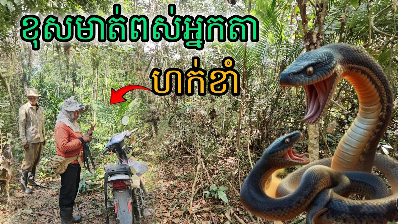 ខុសមាត់ពស់អ្នកតាហក់ខាំ