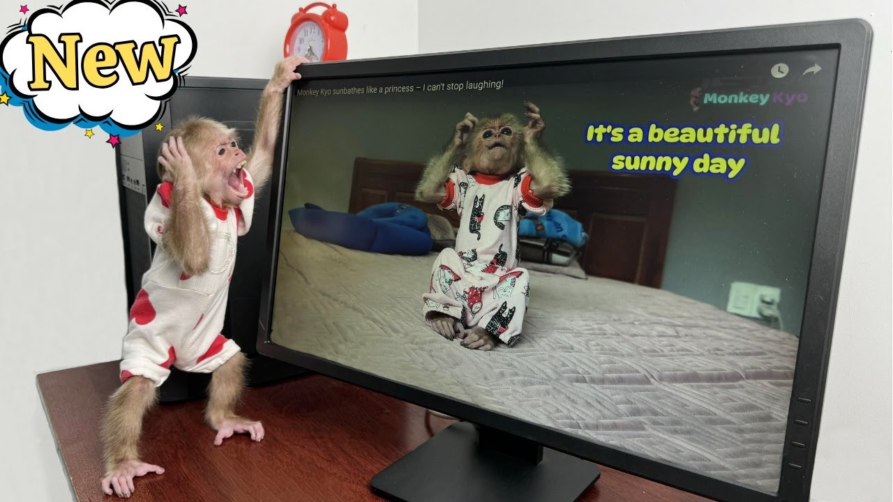Why is Kyo so happy to see Dad buy a new computer monitor?