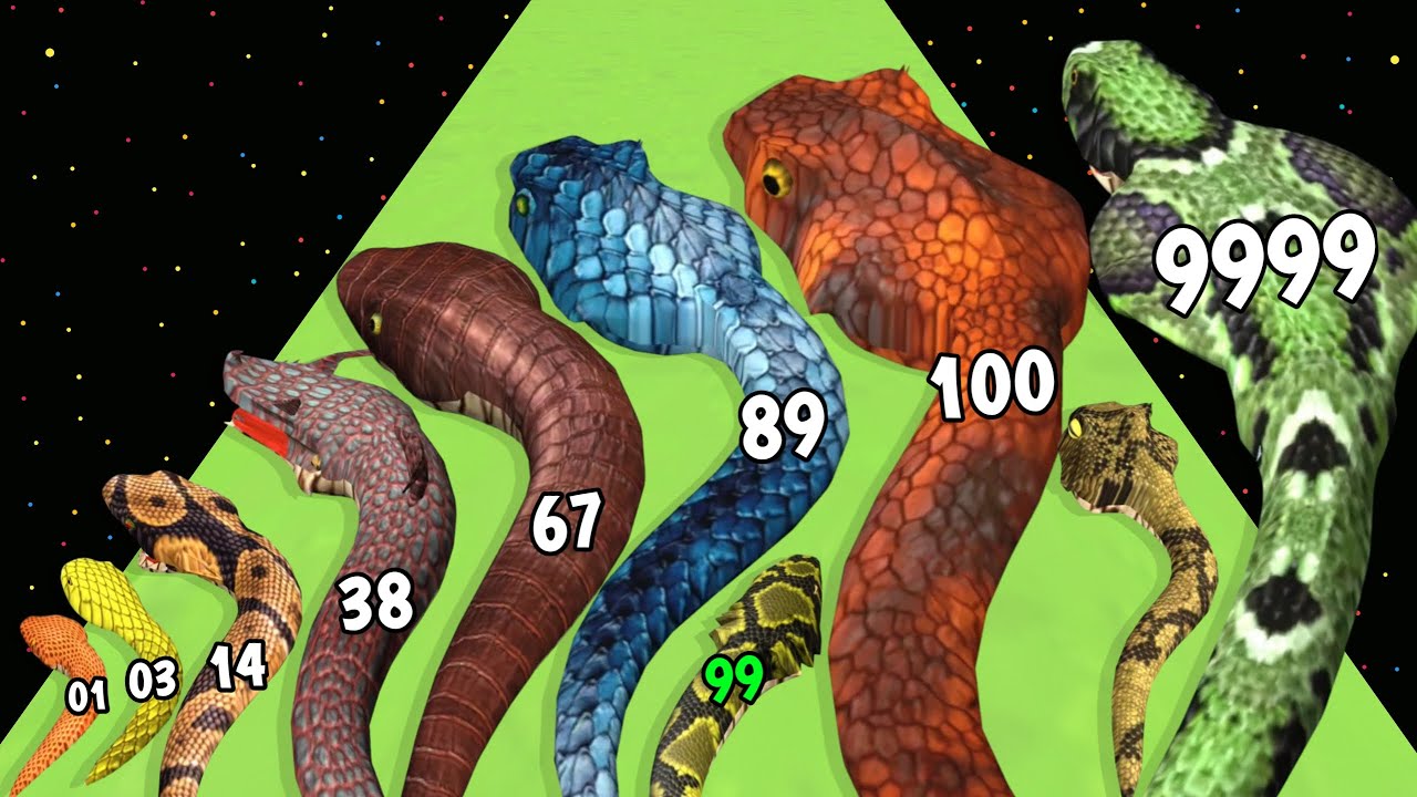 Snake Run Evolution Game - Level Up Snake Max Level Gameplay (New Update) FullGameplay