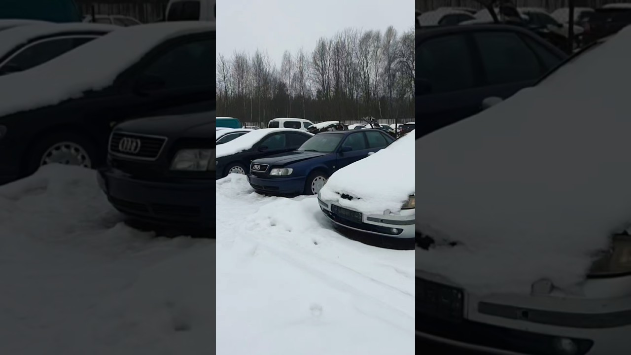 Ауди а6 с4, 1,9ТДИ, конфискат #pro100dima #automobile #автоконфискатбрест #ауди
