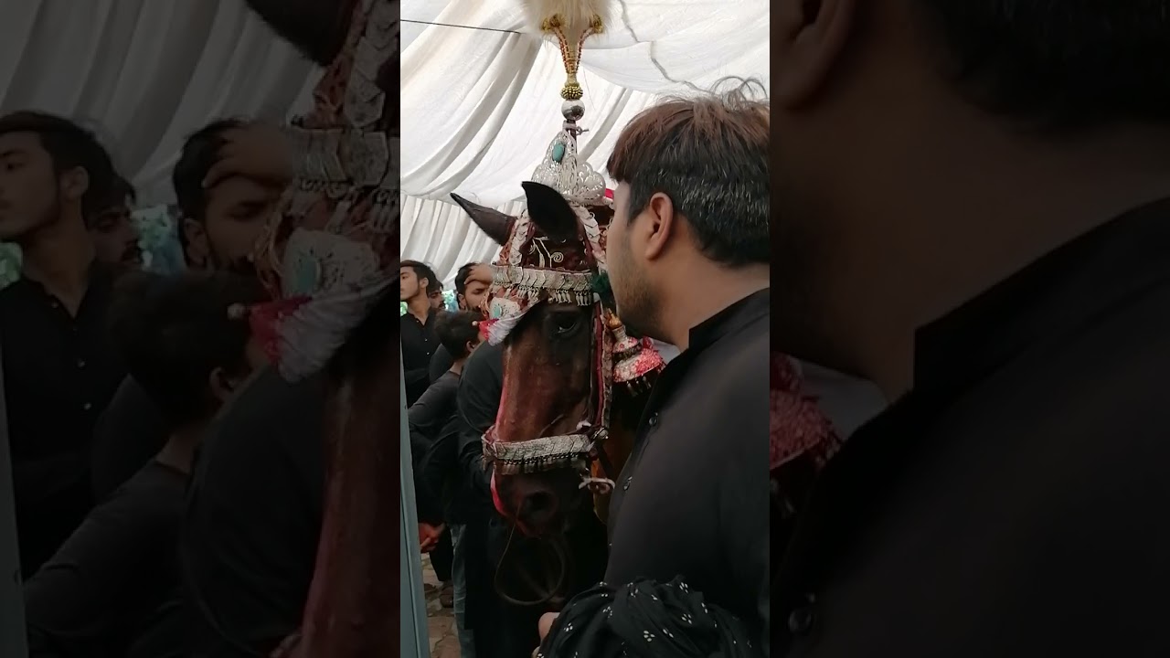 23 Safar 2021 Chahlam Zuljanah At Imam Bargah Kalan Sheikhupura 