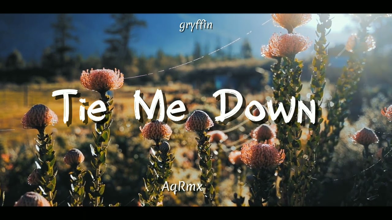 DJ SLOW REMIX !!! AqRmx - Tie Me Down ( Slow Remix )