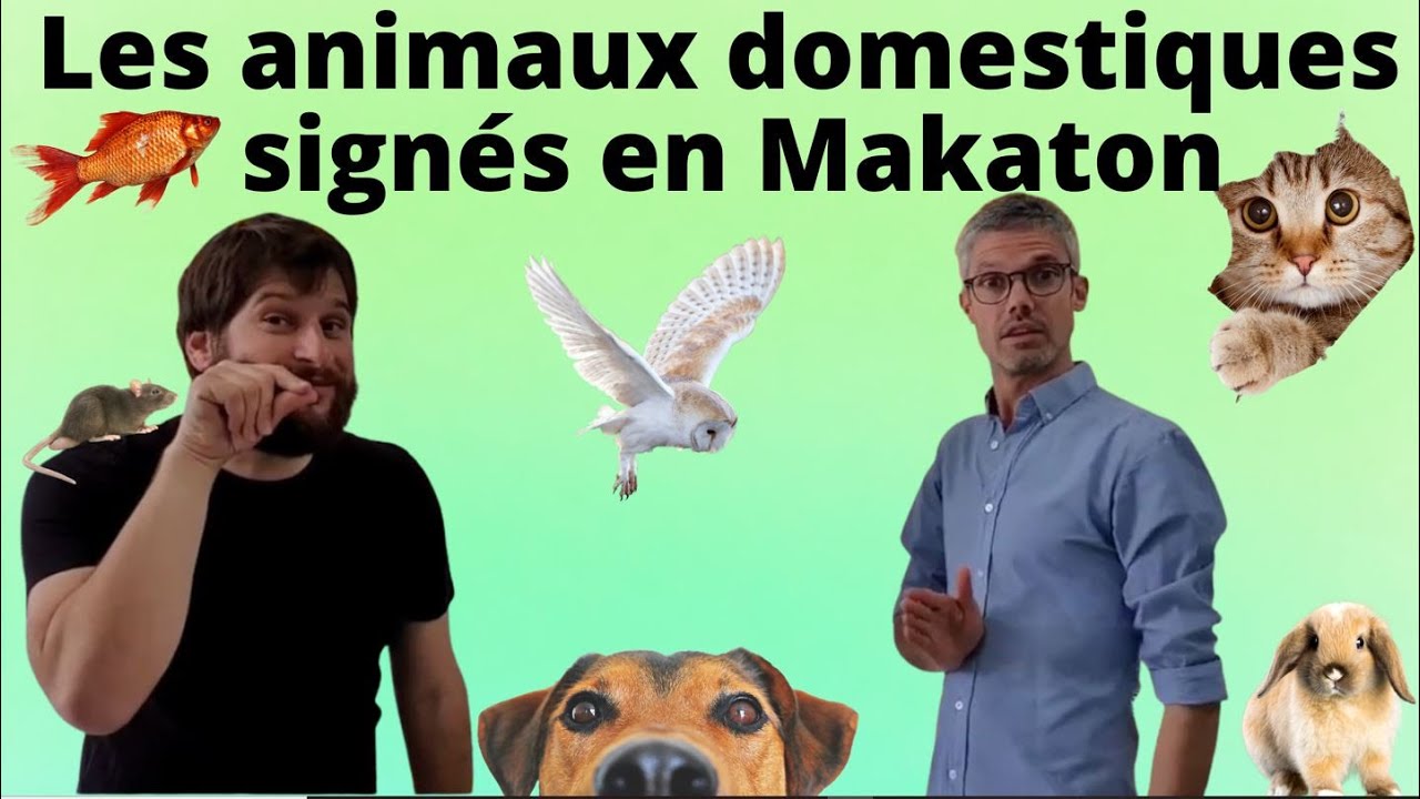 Les animaux domestiques signés en Makaton