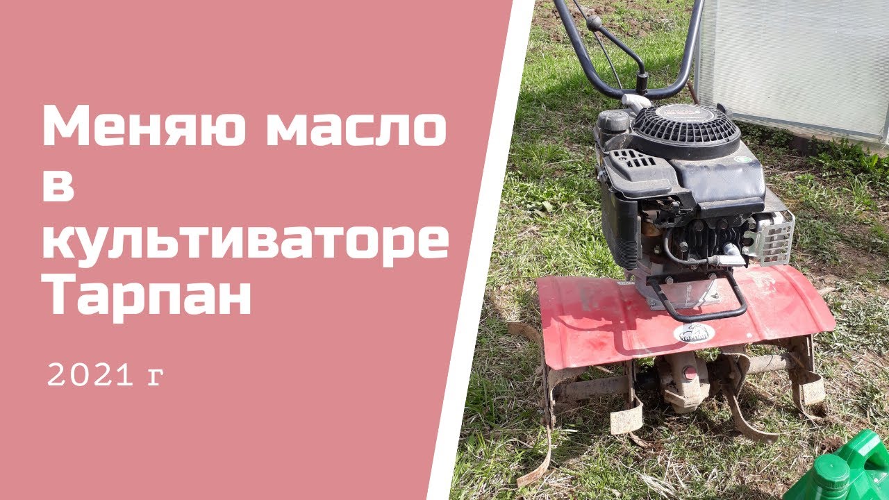 Меняю масло в культиваторе Тарпан 2021 г