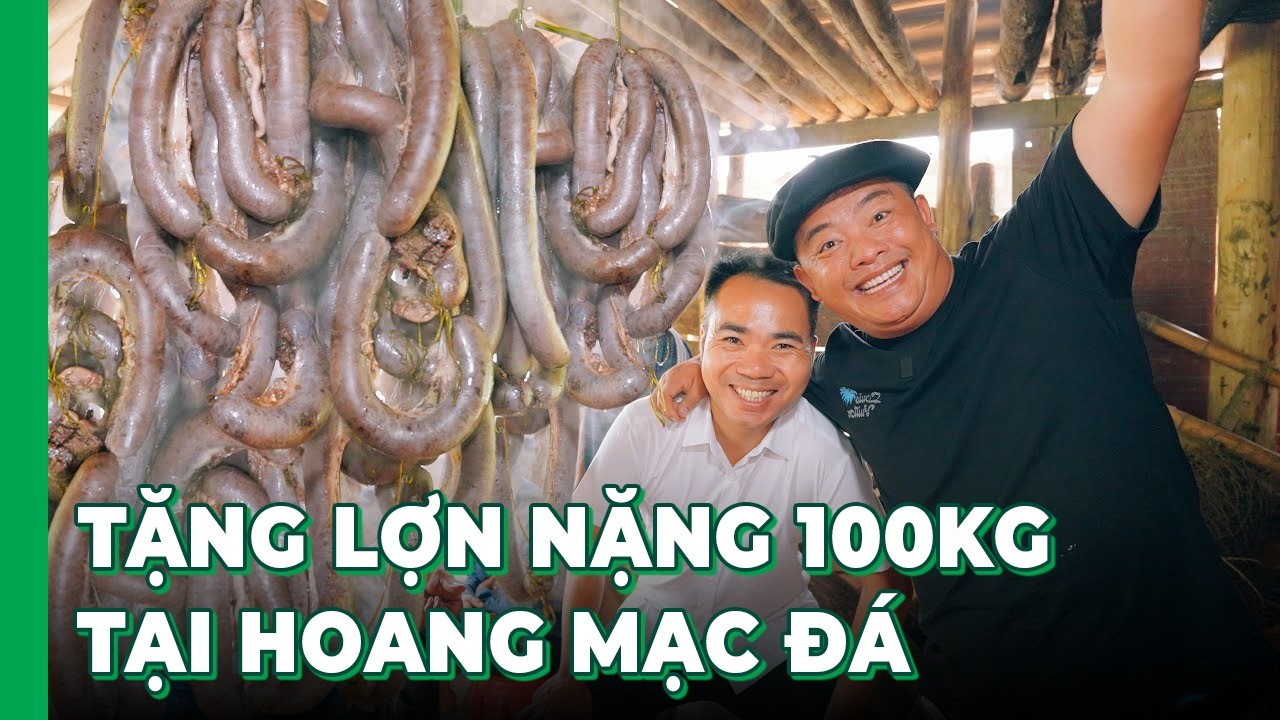 Phạm Dũng Phan Diễm, Nguyễn Tất Thắng, Song Hỷ Vlog, Hải SAPA TV tặng lợn nặng 100KG ở HOANG MẠC ĐÁ