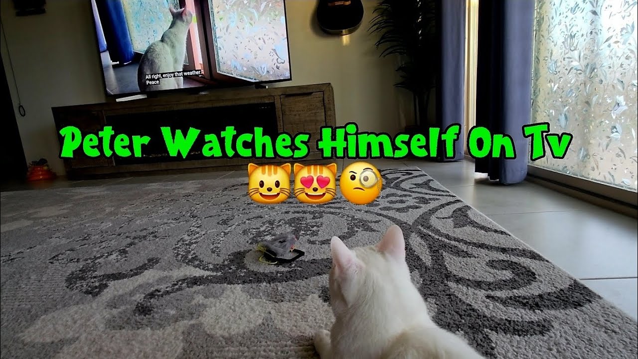 Peter watches himself on TV 📺 🤣 