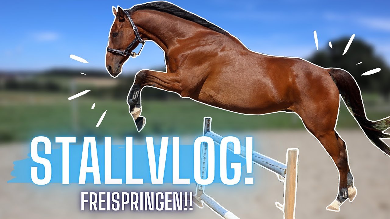 ICH NEHME EUCH MIT IN DEN STALL! FREISPRINGEN!