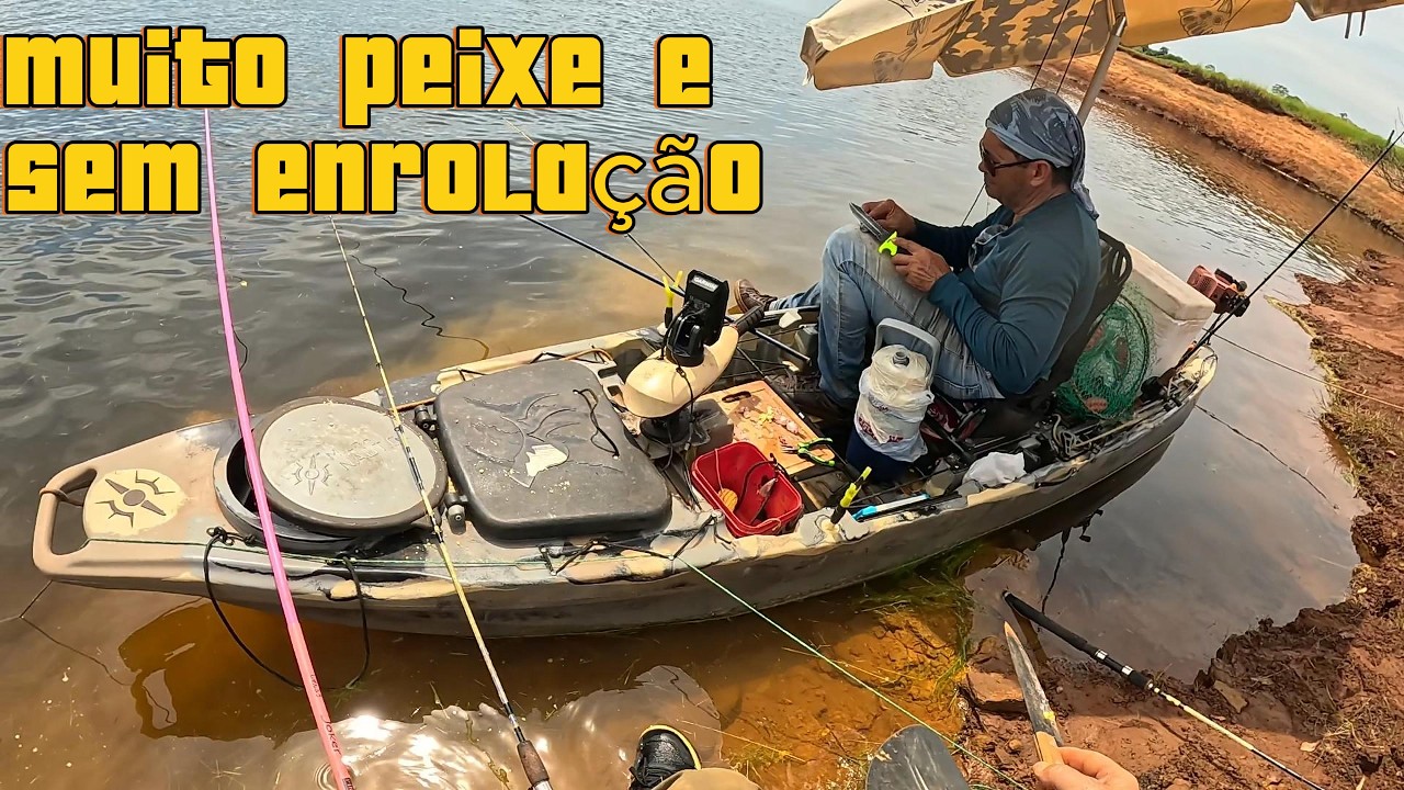 Pescaria em ceva de piau e pacu. Muita ação de peixes