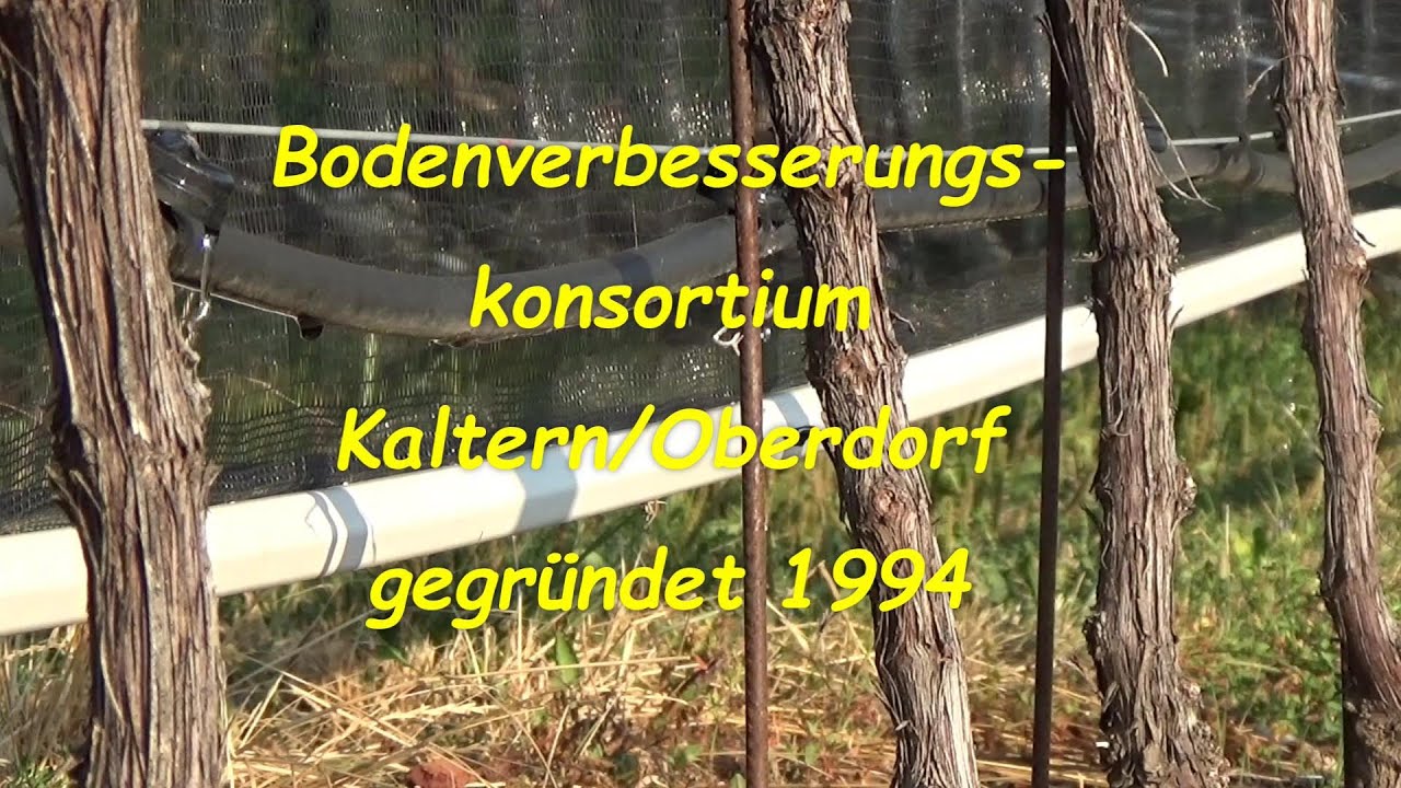 Bodenverbesserungskonsortium Kaltern Oberdorf (2019)