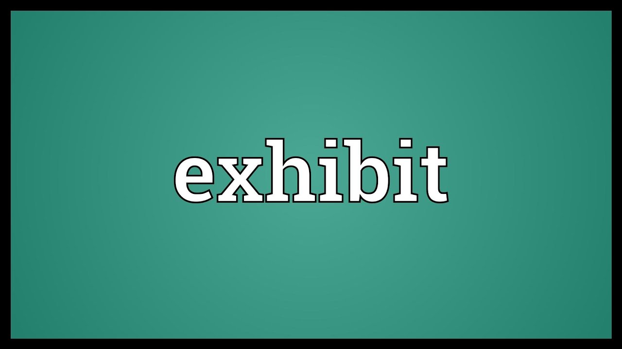 Exhibit Meaning