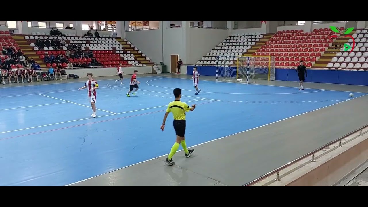Şehit Ferhat Erdin Spor Lisesi Amasya Birincisi