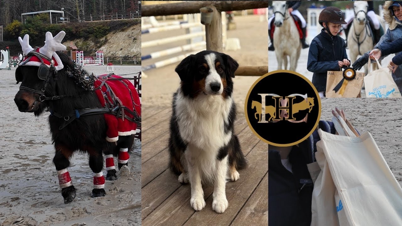Dernier concours 2025 - Instant cheval 