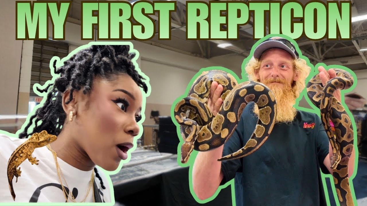 Моя первая выставка Repticon | У меня была аллергическая реакция | Змеи, пауки и экзотические реп...