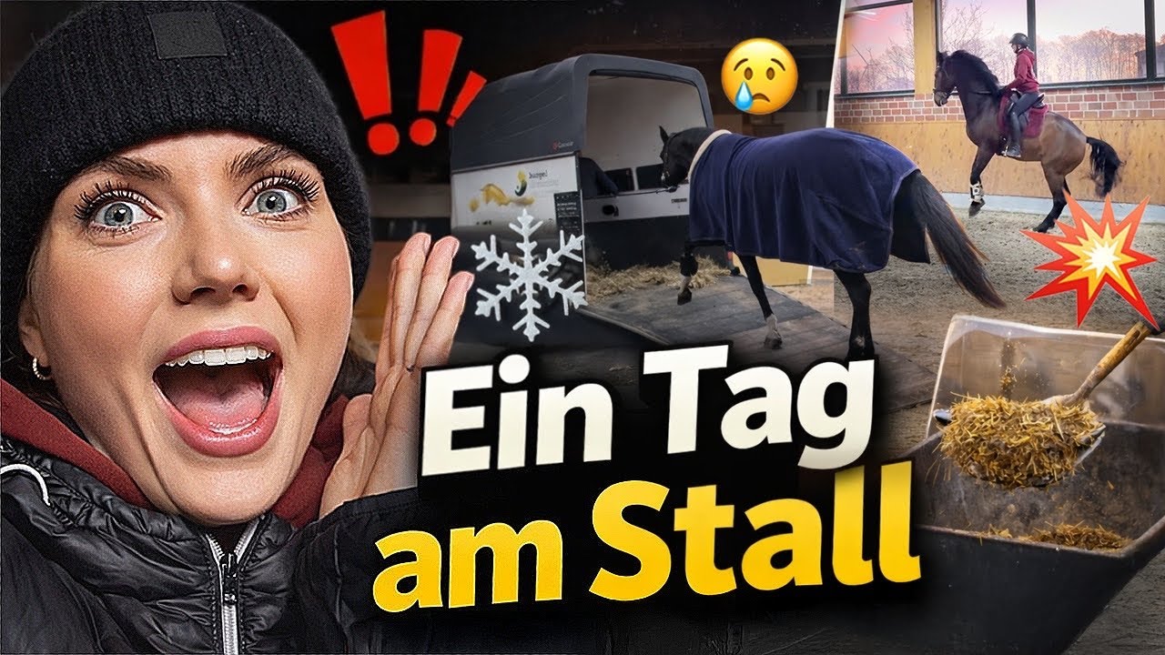 Das passiert wirklich im Stall… 🤯 | Ein Tag am Stall | Borgel Sporthorses 