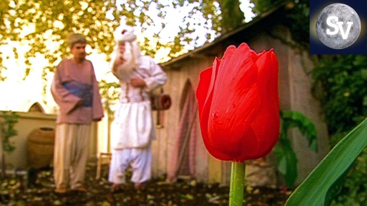 Sprookjes TV Serie | De Tuinman en de Fakir | Sprookjesverhalen