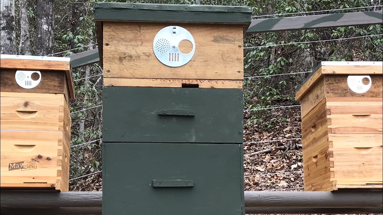 BEEHIVE ENTRANCE DISC/GATE-How to install