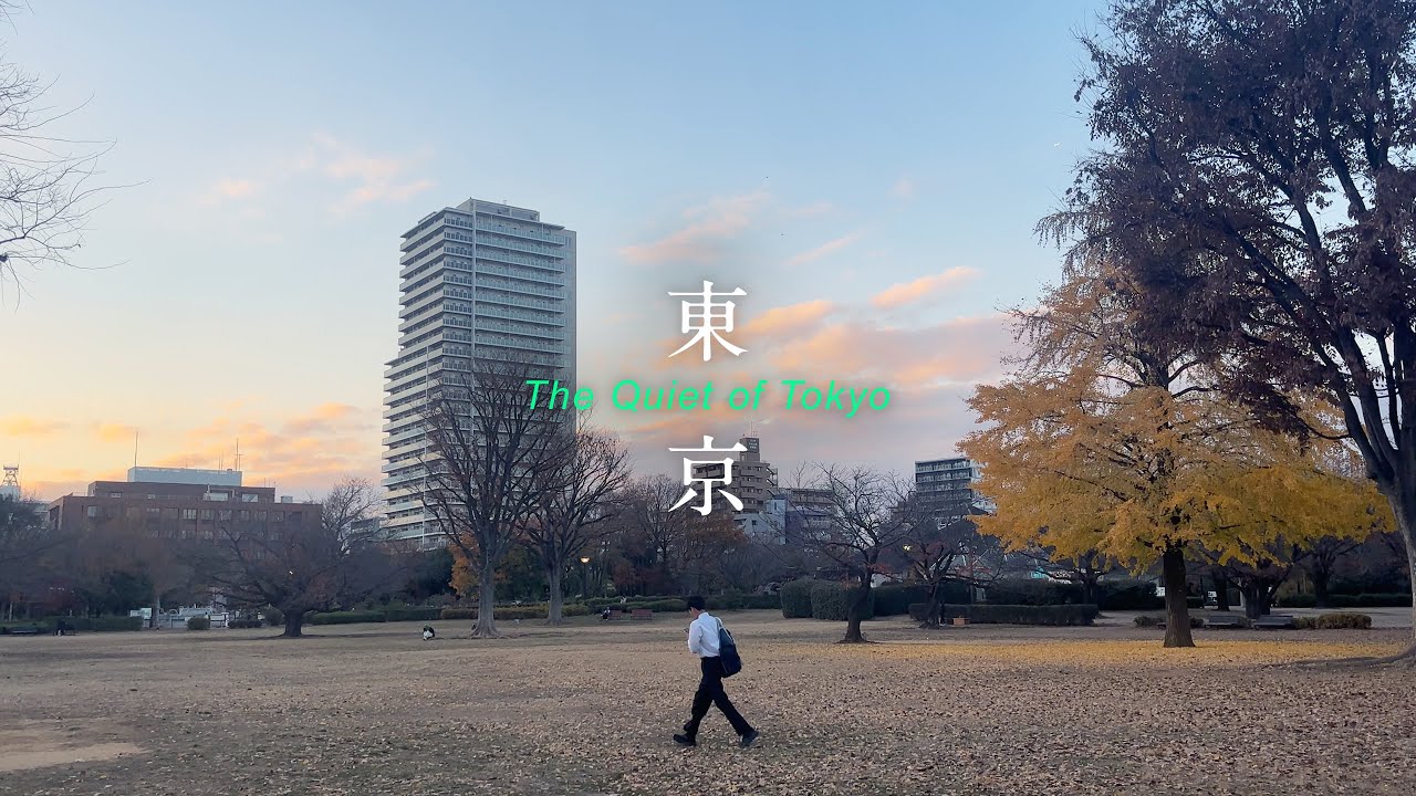 The Quiet Side of Tokyo | Silence in a Crowd