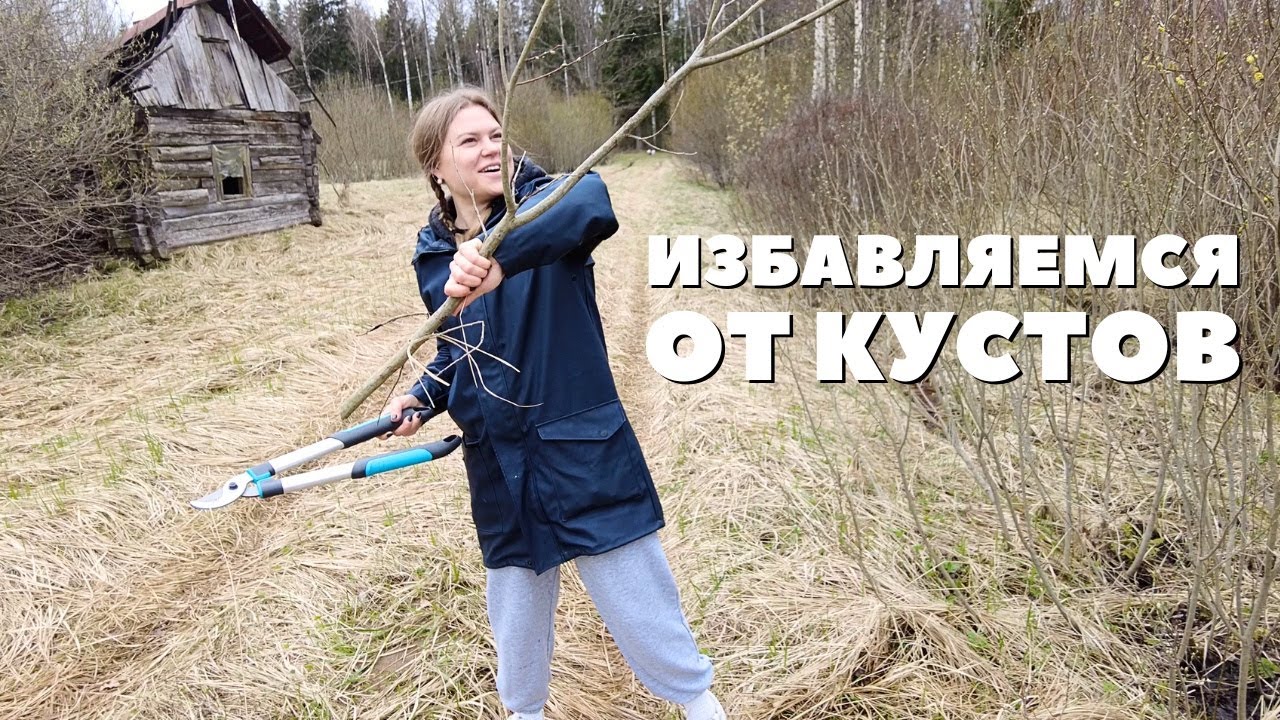 пополнили дом полезными штучками и избавились от кустов